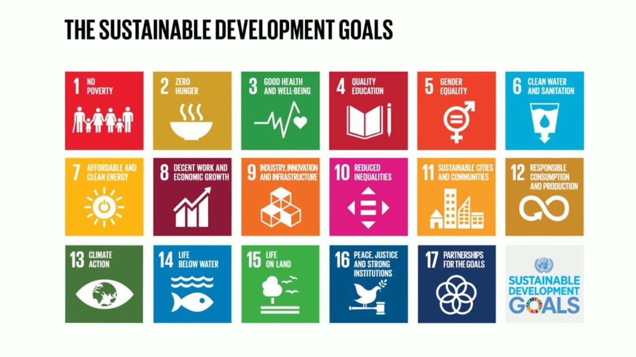 UN SDG CLASSIFIER TOOL